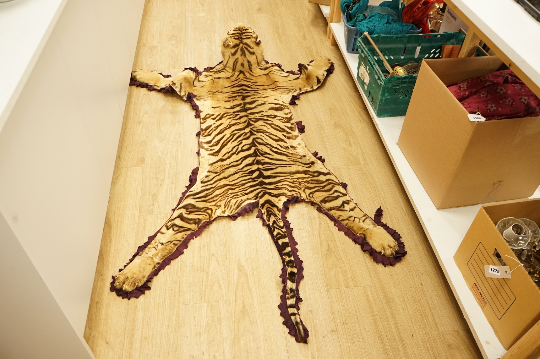 A taxidermy tiger skin rug, early 20th century